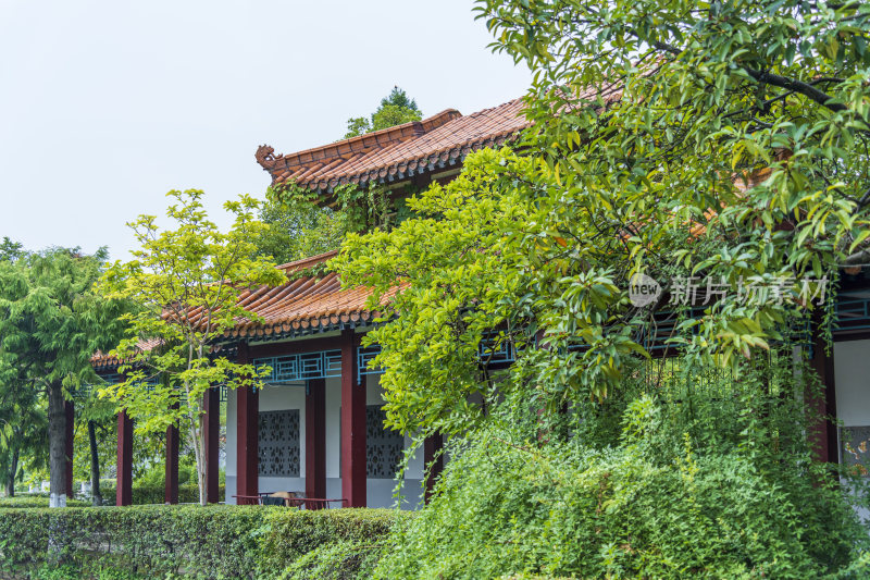 武汉青山公园风景