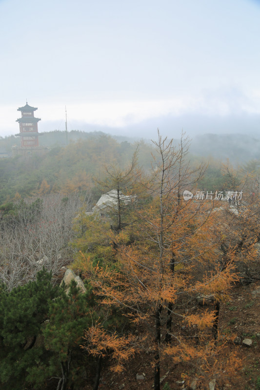 云雾缭绕的泰山