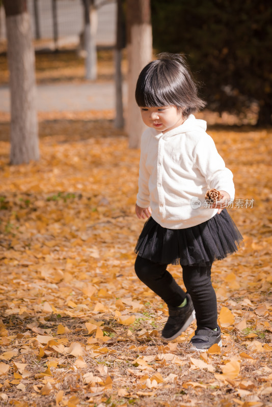 深秋在公园落满黄叶的草地上玩耍的女孩