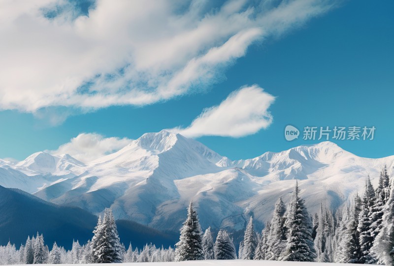 雪山高原草原森林风景