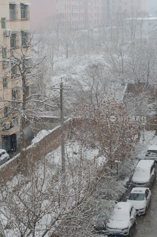 渭南的雪景