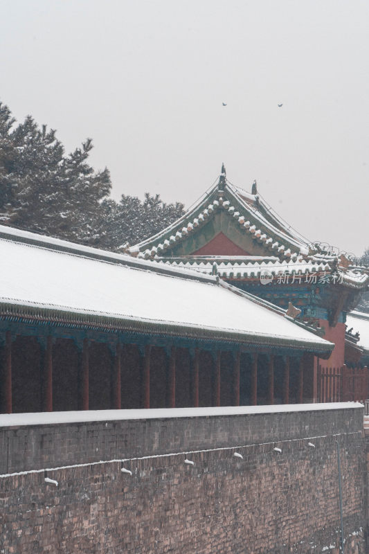 北京天坛公园12月雪