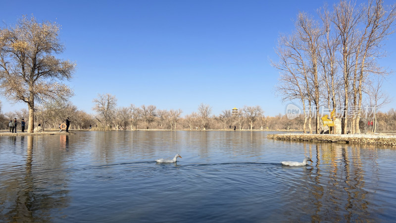 甘肃省酒泉市金塔胡杨林金波湖