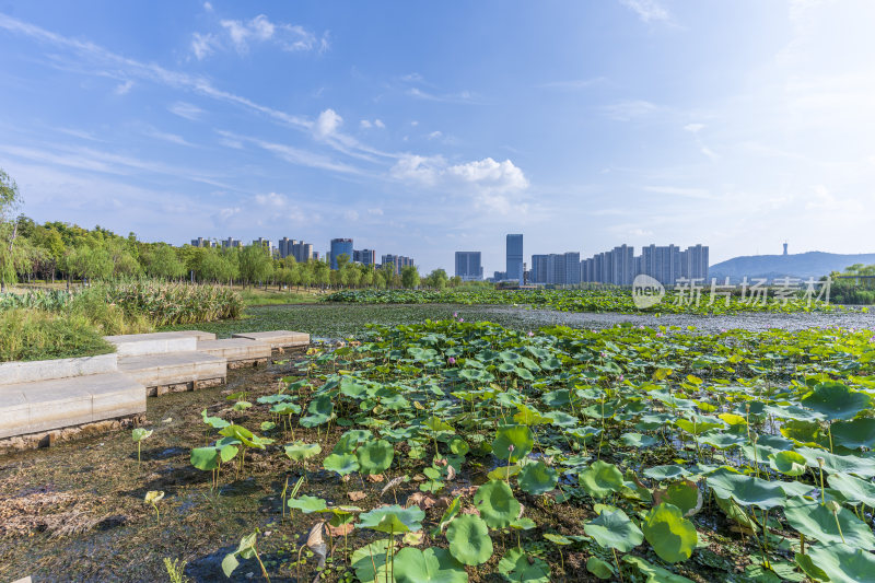 武汉江夏中央大公园风景