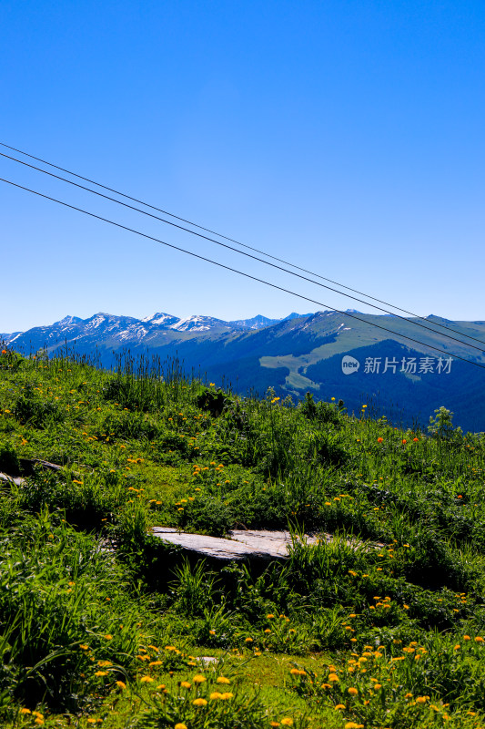 夏季新疆禾木天山山脉