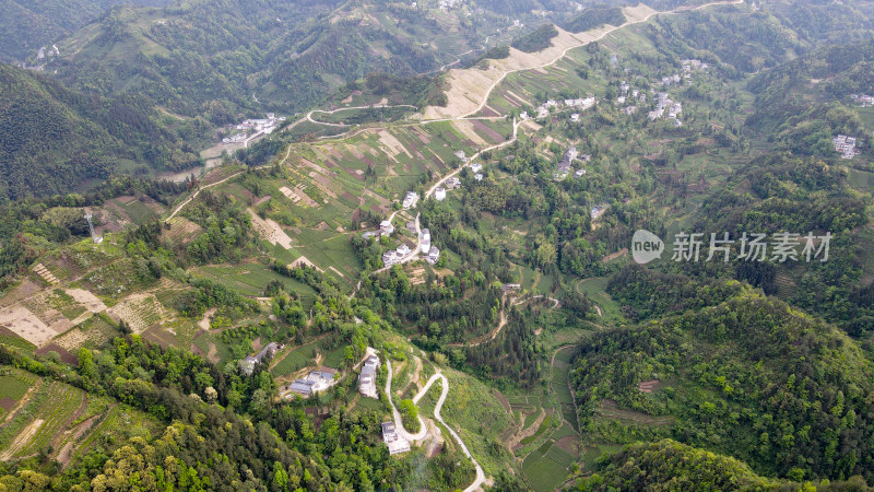 美丽大山山峰农村农业农民茶园