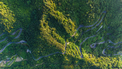 深圳阳台山森林公园