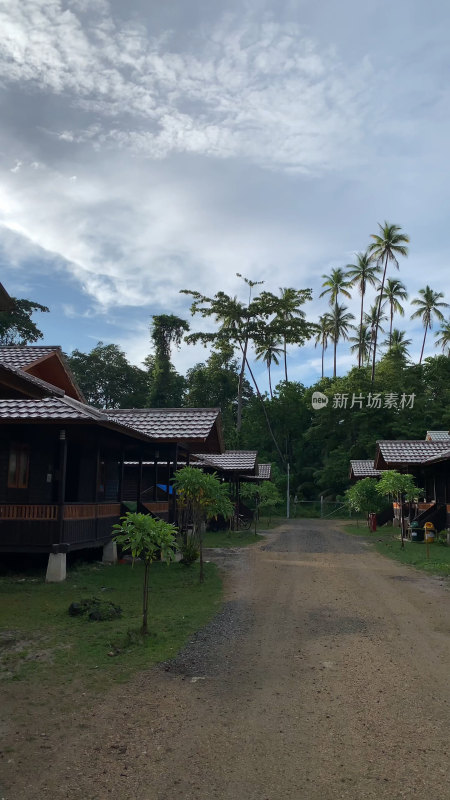 热带地区木屋与棕榈树风景