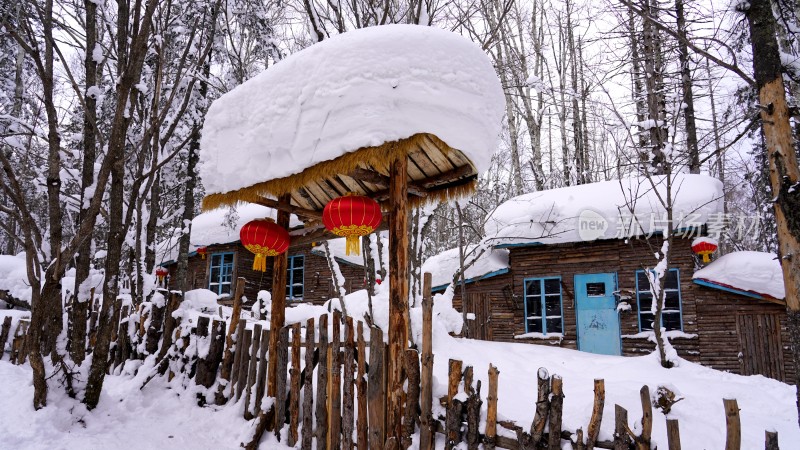 林海雪原