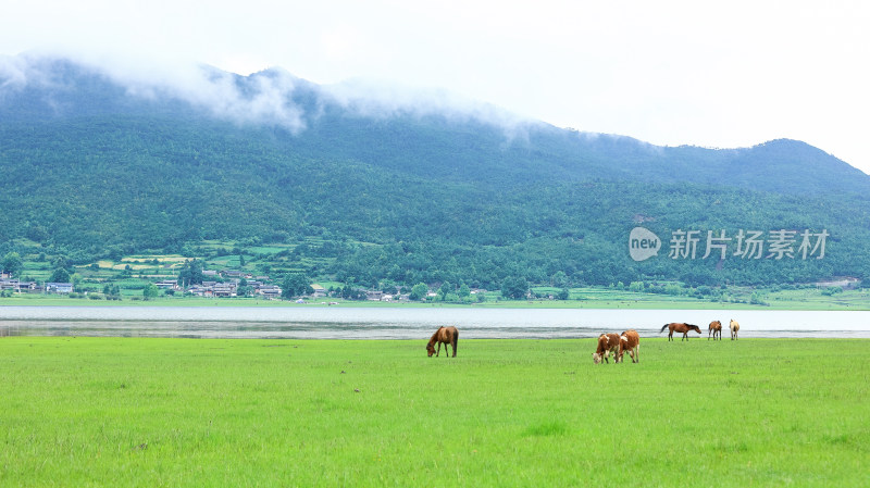 文海丽江风景