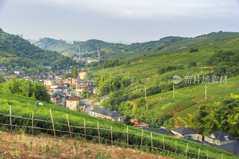 浙江杭州大朗山自然风光，在夕阳下的村庄