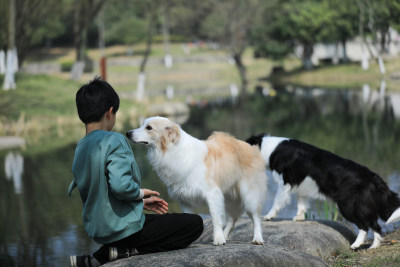 一个小男孩在公园里给他的宠物狗喂食物