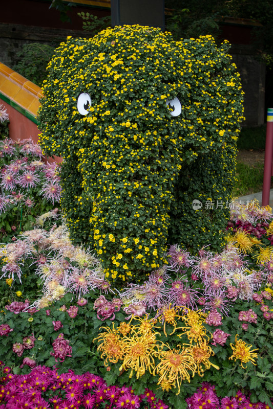 菊花展菊花大象园艺景观创意花艺