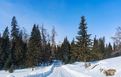 中国新疆喀纳斯冬季雪景冰雪旅游春节旅游