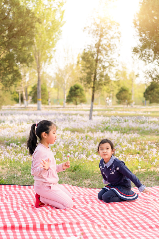 两个在公园草坪上野餐的中国女孩