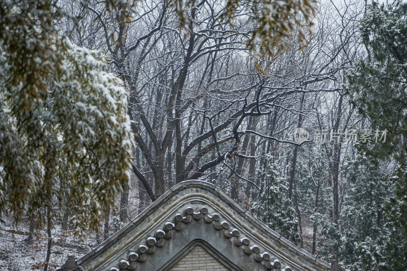 红螺寺冬季建筑积雪松树