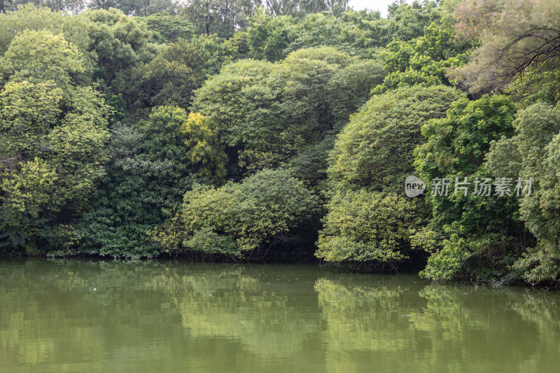 惠州市西湖风景区