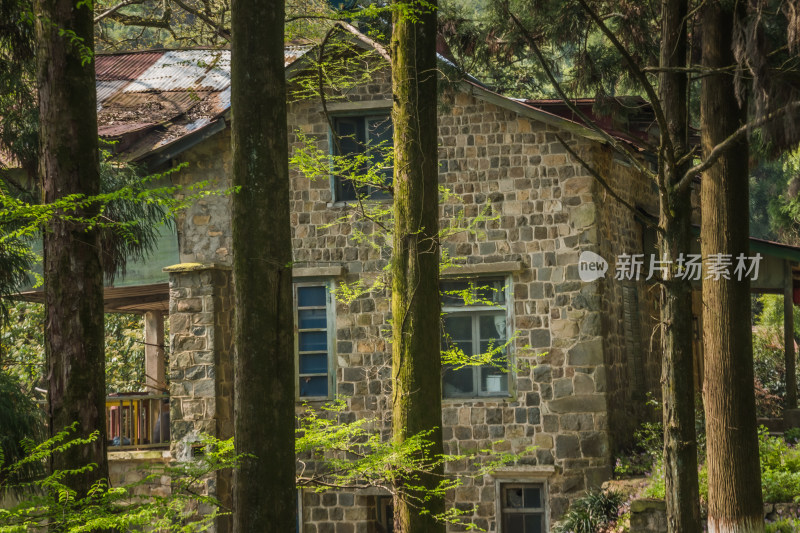 浙江莫干山森林别墅风景