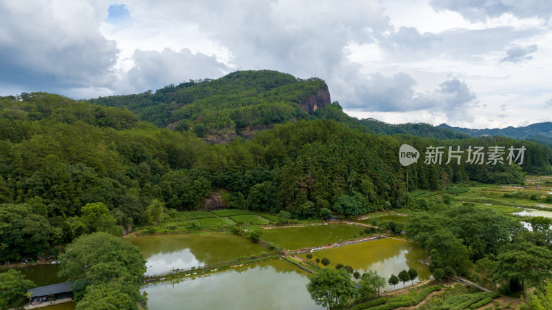 航拍武夷山绿色农田与茶园