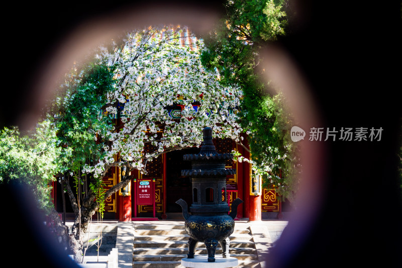 北京北海公园正觉殿的窗棂-DSC_8816