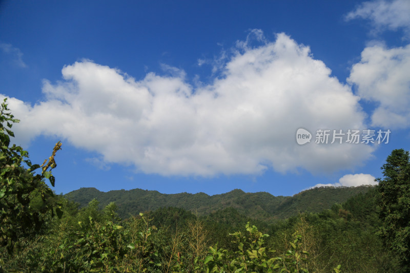 蓝天白云美丽高山森林