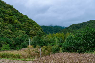 汉中留坝火烧店镇秦岭深处的山村田园风光