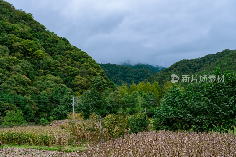 汉中留坝火烧店镇秦岭深处的山村田园风光