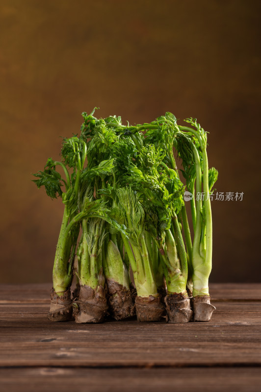 东北野菜新鲜刺嫩芽