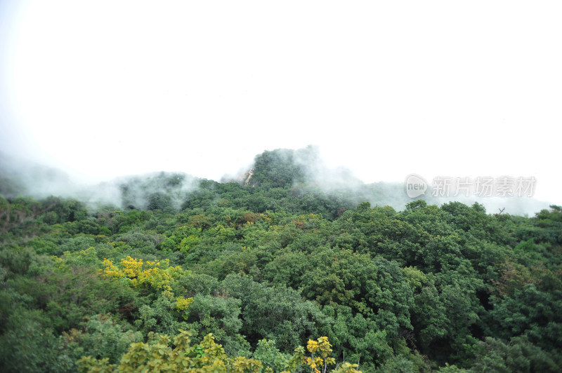 夏日云雾缭绕狼牙山雄奇景象河北保定旅游