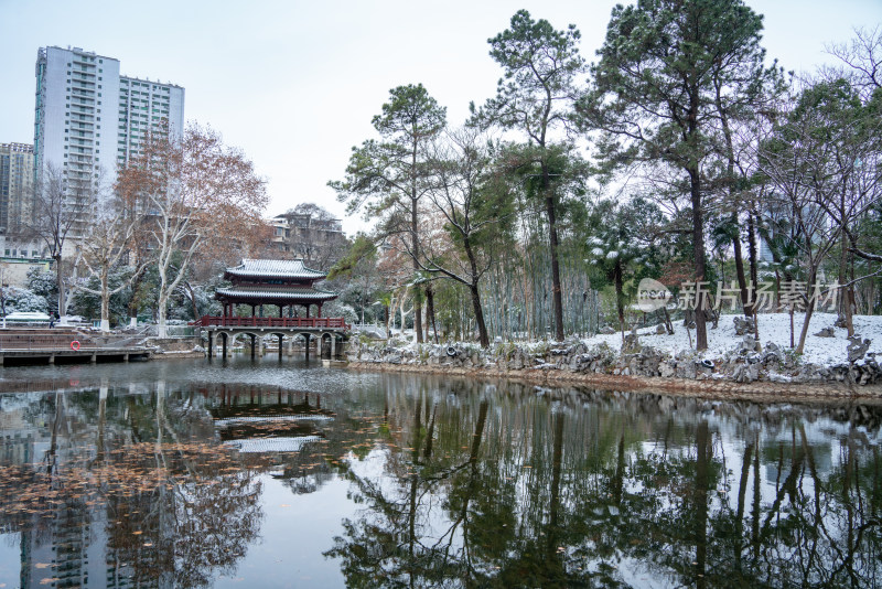 武汉中山公园雪景