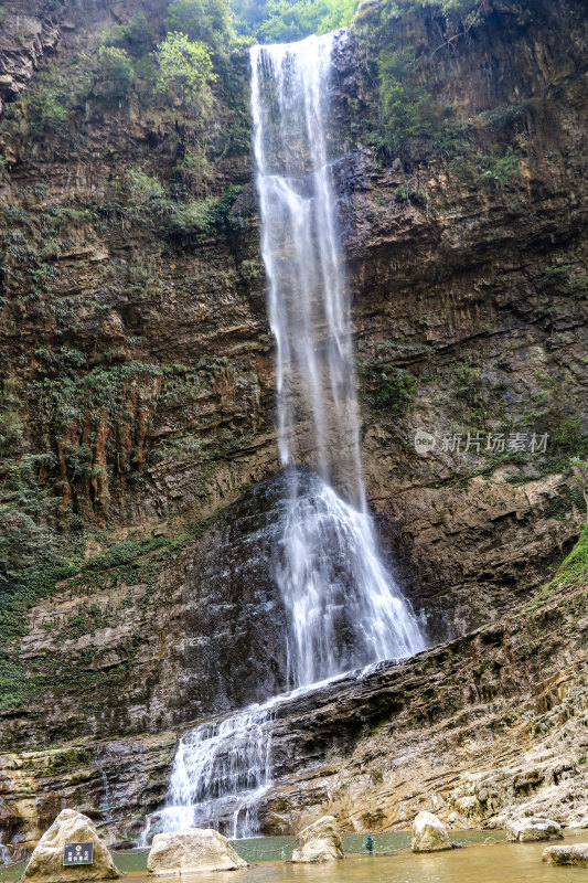 湖北宜昌三峡竹海风景区，自然风光，竹海