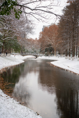 武汉冬天解放公园雪景