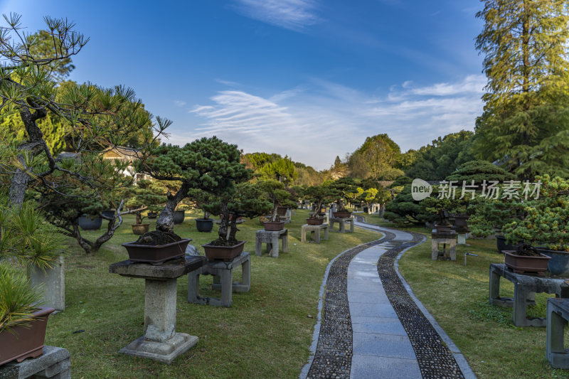 杭州西子湖畔杭州花圃风景