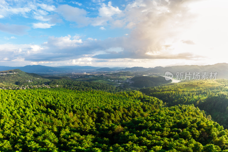 绿意盎然的山林自然风光全景