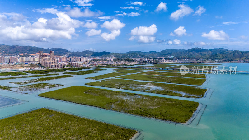 惠州盐洲海洋湿地公园-红树林湿地风光