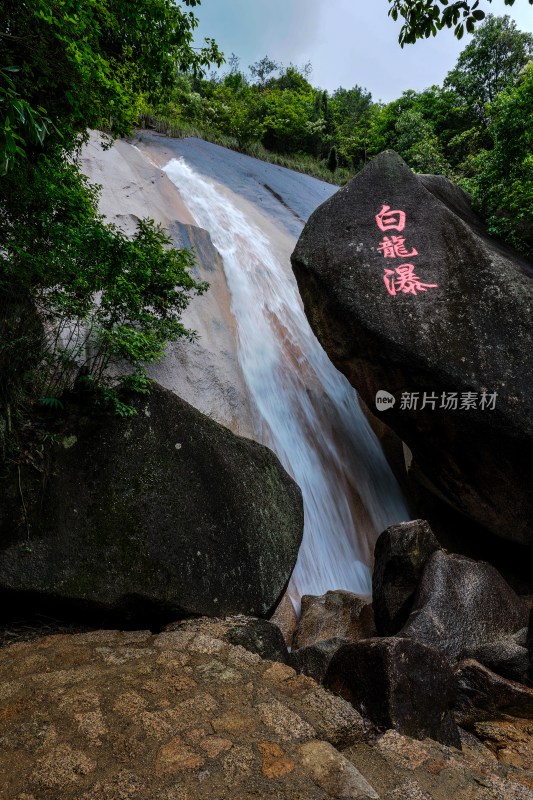 绩溪县龙川芦笋山