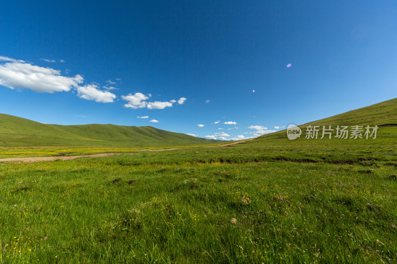 夏季高原草原草地湿地景观