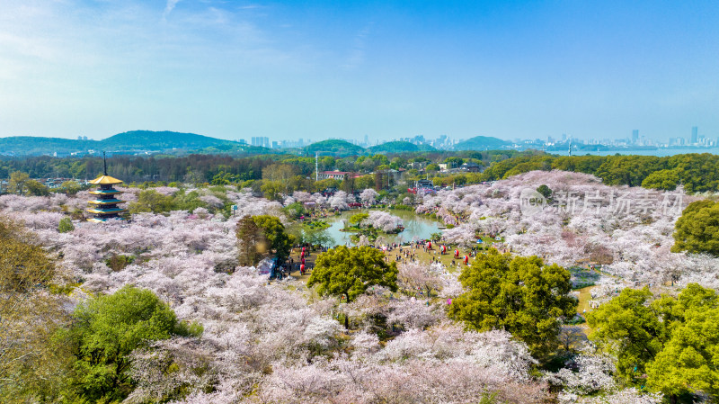 湖北武汉东湖樱花园里的五重塔远景航拍