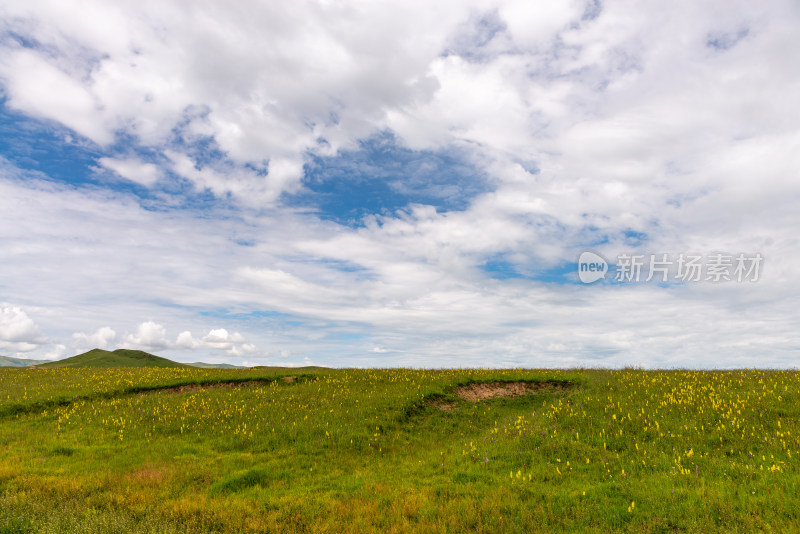 蓝天白云草原风景