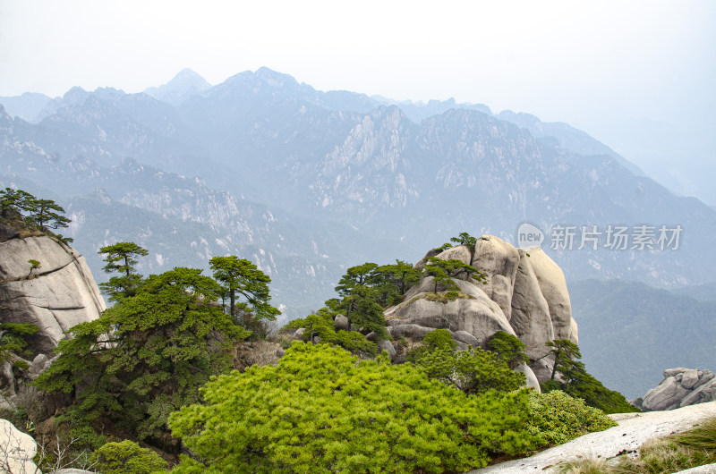 黄山松崖绝壁 险峻山峦 峰峦叠嶂