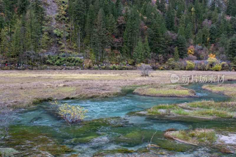 九寨沟秋色，箭竹海溪流青草地山林