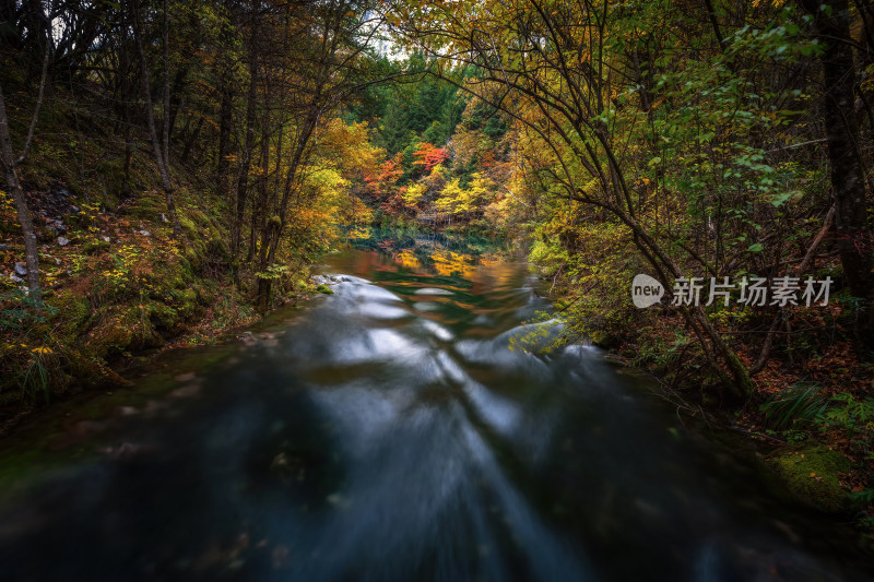 四川阿坝州九寨沟秋色静谧湖光金秋倒影色彩