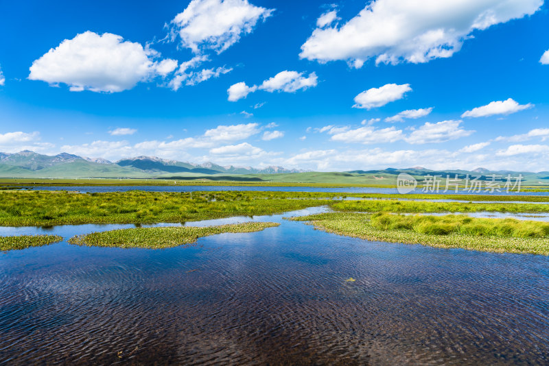 若尔盖花湖景区草原湿地风光