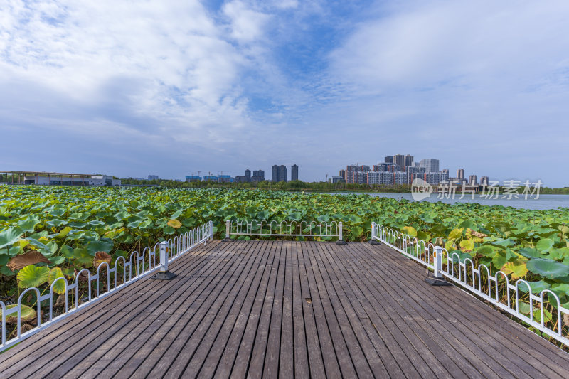 武汉江夏中央大公园风景