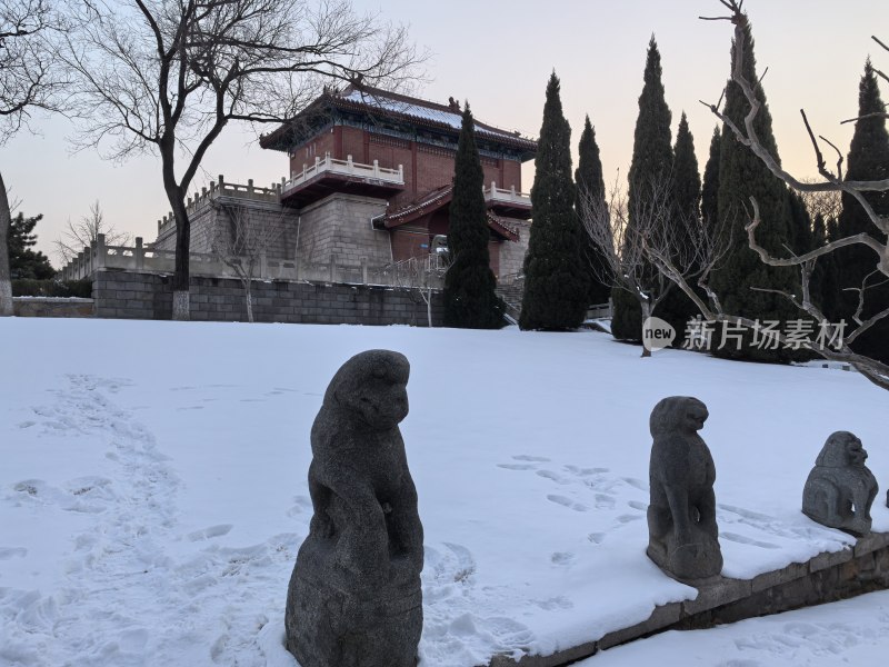 威海市文登区召文台公园冬季雪后景观