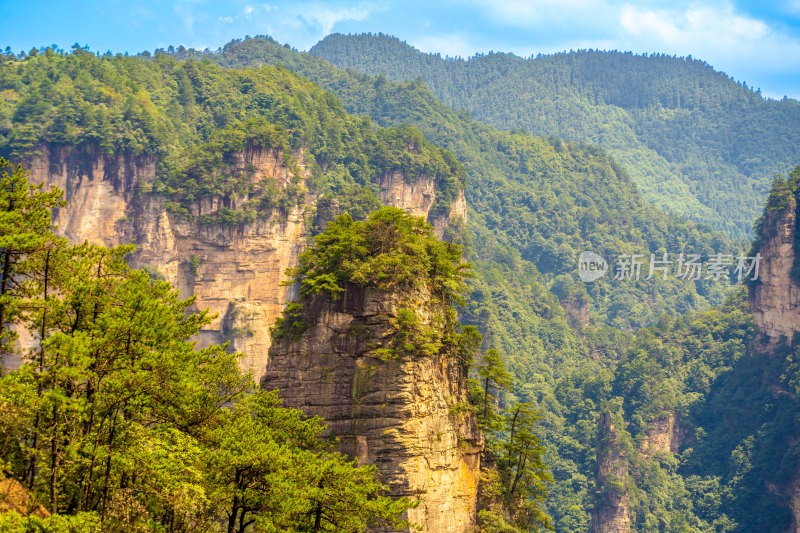 中国湖南张家界景区奇特山峰与茂密森林