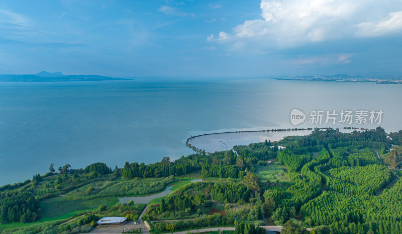 盛夏时节的晋宁南滇池国家湿地公园