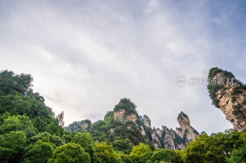 中国湖南张家界景区奇特山峰与茂密森林