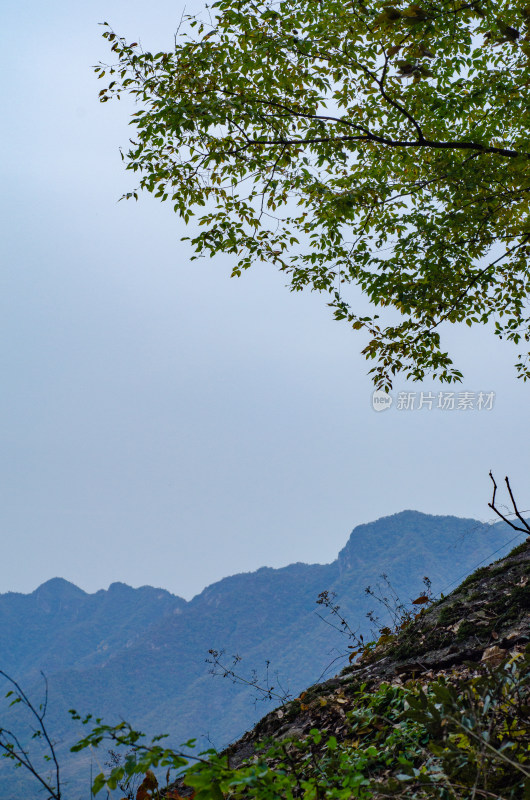 河南省洛阳白云山风景