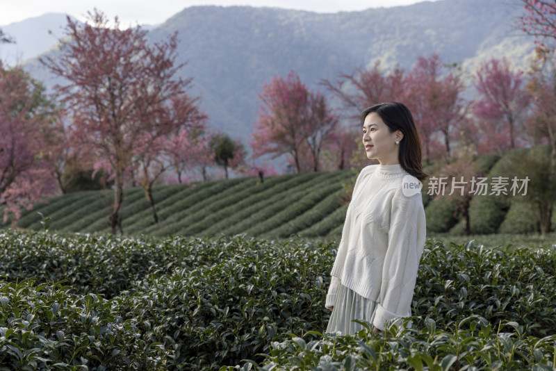 春天在樱花谷花海度假休闲的美女